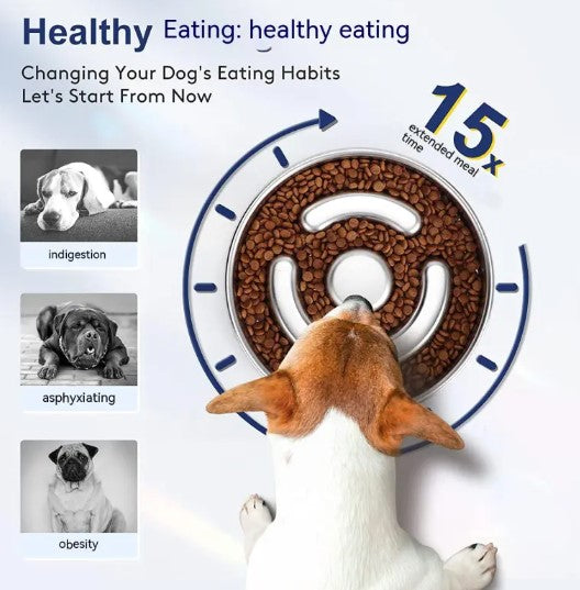 CozyTail™ Slow Feast Bowl