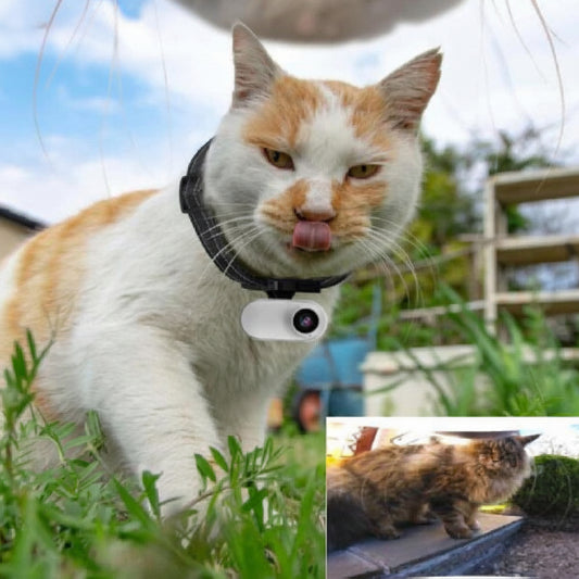 CozyTail™ Paw View Mini Camera