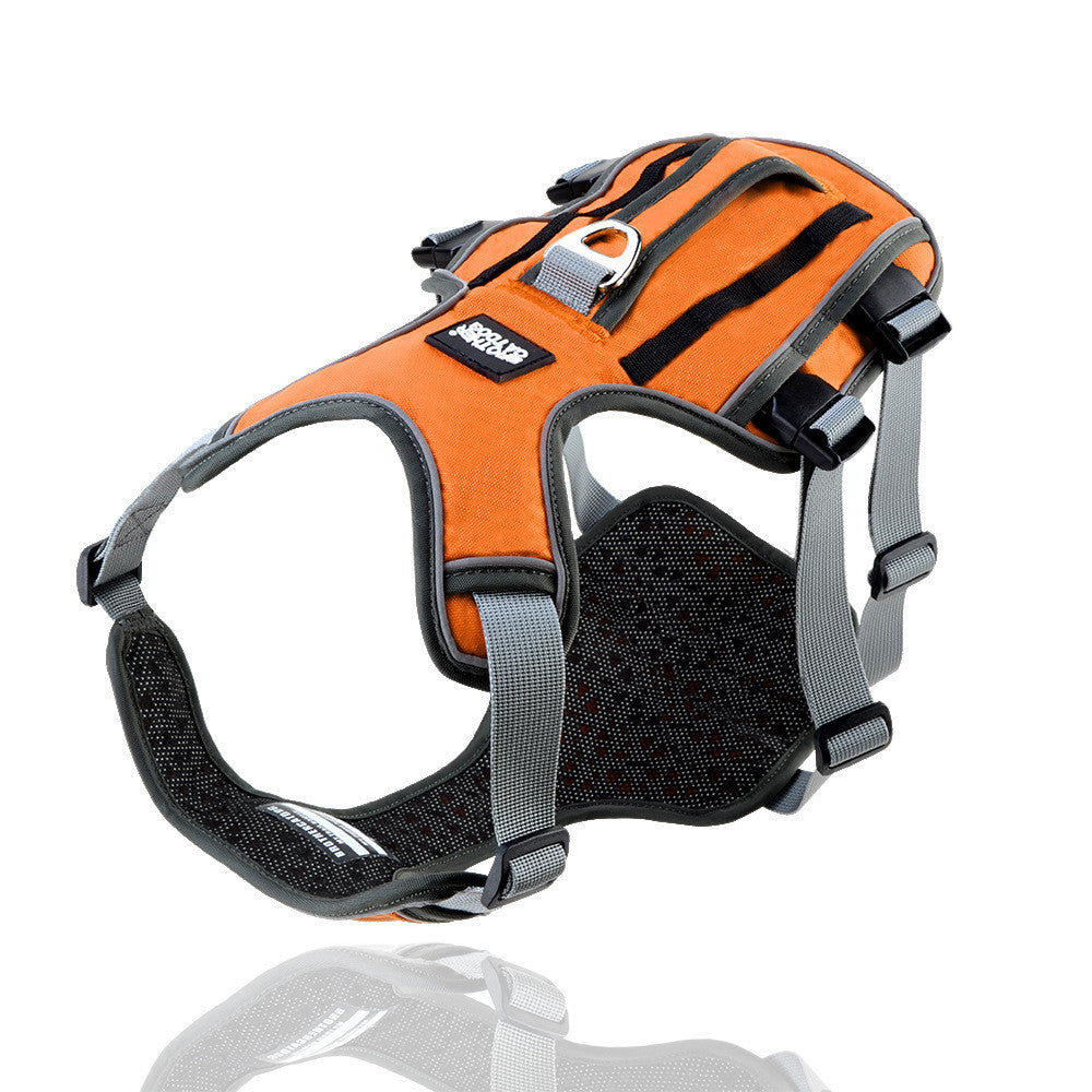 CozyTail™ ReflectFit Harness Set