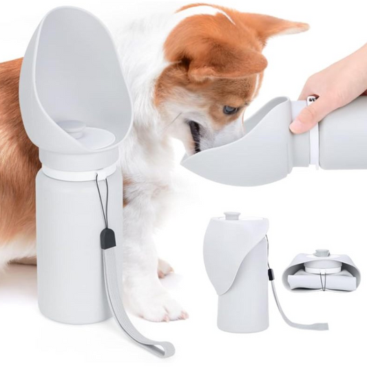 CozyTail™ Aqua Fold Travel Bottle