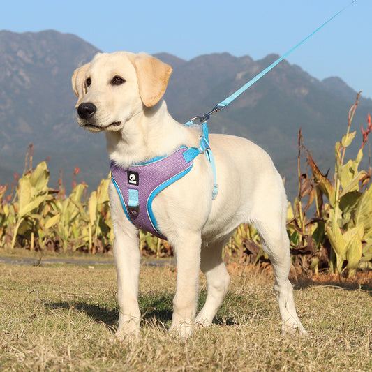 CozyTail™ ComfortFit Harness Set