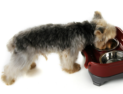 CozyTail™ Duo Feast Bowl Set