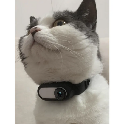 CozyTail™ Paw View Camera Collar