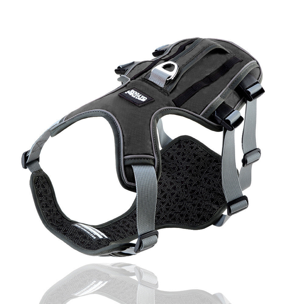 CozyTail™ ReflectFit Harness Set