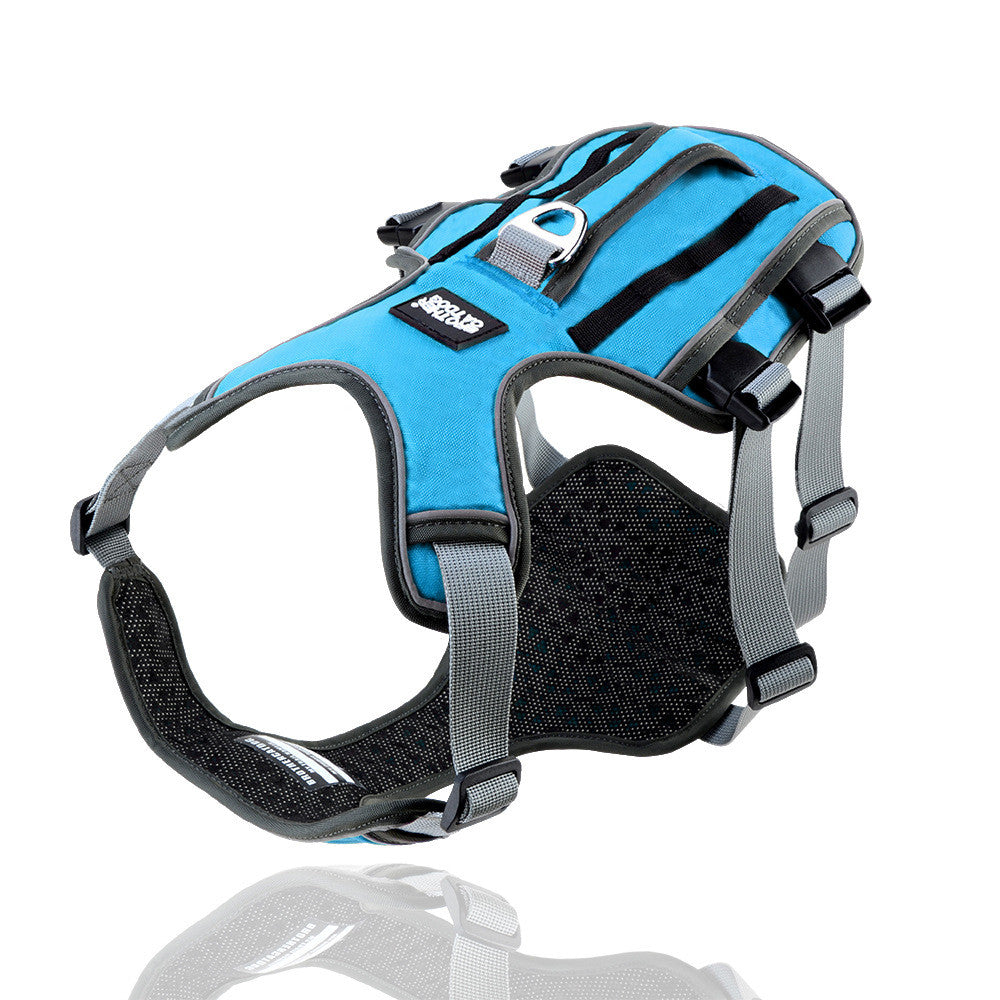 CozyTail™ ReflectFit Harness Set