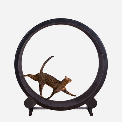 CozyTail™ Active Paw Fitness Wheel