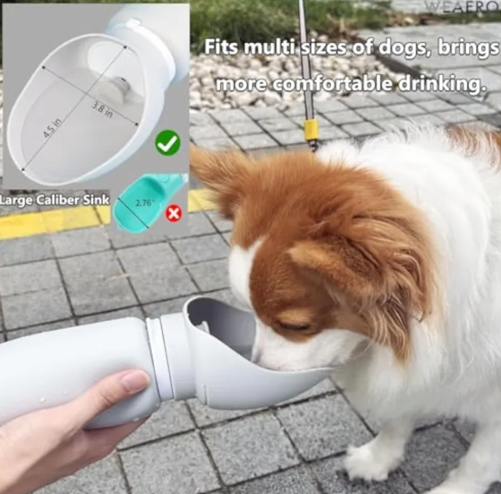 CozyTail™ Aqua Fold Travel Bottle