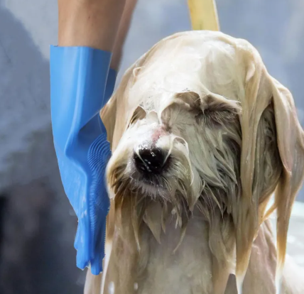CozyTail™ Gentle Groom Gloves