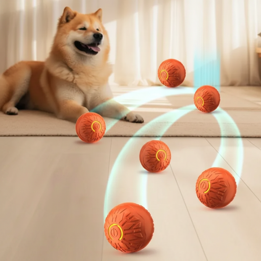 CozyTail™ Glow Roll Interactive Toy