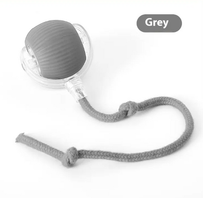 CozyTail™ Play Pounce Ball