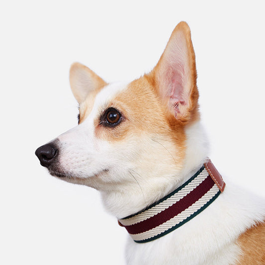 CozyTail™ Woven Comfort Collar