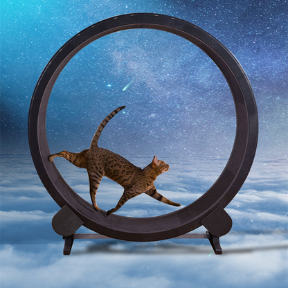 CozyTail™ Active Paw Fitness Wheel